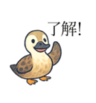 トリのおしゃべり4 - カルガモ1（個別スタンプ：7）