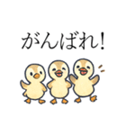 トリのおしゃべり4 - カルガモ1（個別スタンプ：8）