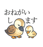 トリのおしゃべり4 - カルガモ1（個別スタンプ：9）