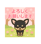 やさしい動物たちの春夏あいさつスタンプ（個別スタンプ：16）