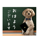 飛び出す！教えて☆まる先生（個別スタンプ：1）