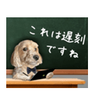 飛び出す！教えて☆まる先生（個別スタンプ：2）