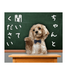 飛び出す！教えて☆まる先生（個別スタンプ：3）