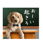 飛び出す！教えて☆まる先生（個別スタンプ：4）