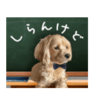 飛び出す！教えて☆まる先生（個別スタンプ：5）