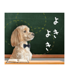 飛び出す！教えて☆まる先生（個別スタンプ：6）