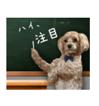 飛び出す！教えて☆まる先生（個別スタンプ：8）