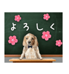 飛び出す！教えて☆まる先生（個別スタンプ：10）