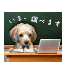 飛び出す！教えて☆まる先生（個別スタンプ：11）