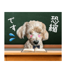 飛び出す！教えて☆まる先生（個別スタンプ：13）