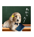 飛び出す！教えて☆まる先生（個別スタンプ：14）