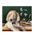 飛び出す！教えて☆まる先生（個別スタンプ：15）