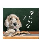 飛び出す！教えて☆まる先生（個別スタンプ：17）