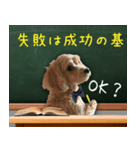 飛び出す！教えて☆まる先生（個別スタンプ：18）
