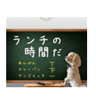 飛び出す！教えて☆まる先生（個別スタンプ：19）