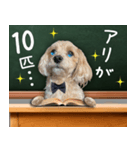 飛び出す！教えて☆まる先生（個別スタンプ：20）