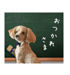 飛び出す！教えて☆まる先生（個別スタンプ：22）