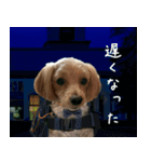 飛び出す！教えて☆まる先生（個別スタンプ：24）