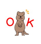 ゆる〜いクアッカワラビー（個別スタンプ：1）