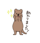 ゆる〜いクアッカワラビー（個別スタンプ：8）