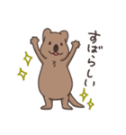 ゆる〜いクアッカワラビー（個別スタンプ：15）