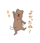 ゆる〜いクアッカワラビー（個別スタンプ：16）