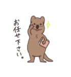 ゆる〜いクアッカワラビー（個別スタンプ：19）