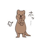 ゆる〜いクアッカワラビー（個別スタンプ：24）