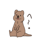 ゆる〜いクアッカワラビー（個別スタンプ：25）