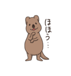 ゆる〜いクアッカワラビー（個別スタンプ：26）
