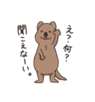 ゆる〜いクアッカワラビー（個別スタンプ：31）