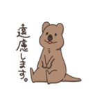 ゆる〜いクアッカワラビー（個別スタンプ：32）