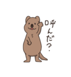 ゆる〜いクアッカワラビー（個別スタンプ：33）