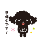 黒トイプードル_ハッピーな日々（個別スタンプ：3）