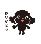 黒トイプードル_ハッピーな日々（個別スタンプ：37）