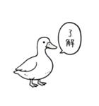アヒルのひとことスタンプ（個別スタンプ：4）