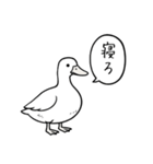 アヒルのひとことスタンプ（個別スタンプ：8）