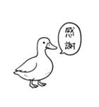 アヒルのひとことスタンプ（個別スタンプ：9）