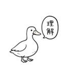 アヒルのひとことスタンプ（個別スタンプ：10）
