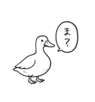 アヒルのひとことスタンプ（個別スタンプ：14）