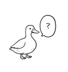アヒルのひとことスタンプ（個別スタンプ：24）