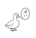 アヒルのひとことスタンプ（個別スタンプ：26）