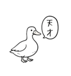 アヒルのひとことスタンプ（個別スタンプ：37）