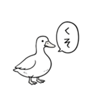 アヒルのひとことスタンプ（個別スタンプ：38）