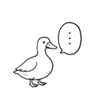 アヒルのひとことスタンプ（個別スタンプ：39）