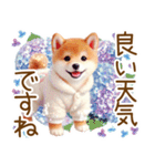 ずっと使える♥ふんわり柴犬の敬語（個別スタンプ：4）