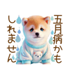 ずっと使える♥ふんわり柴犬の敬語（個別スタンプ：12）
