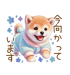 ずっと使える♥ふんわり柴犬の敬語（個別スタンプ：15）