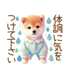 ずっと使える♥ふんわり柴犬の敬語（個別スタンプ：17）