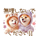 ずっと使える♥ふんわり柴犬の敬語（個別スタンプ：21）
